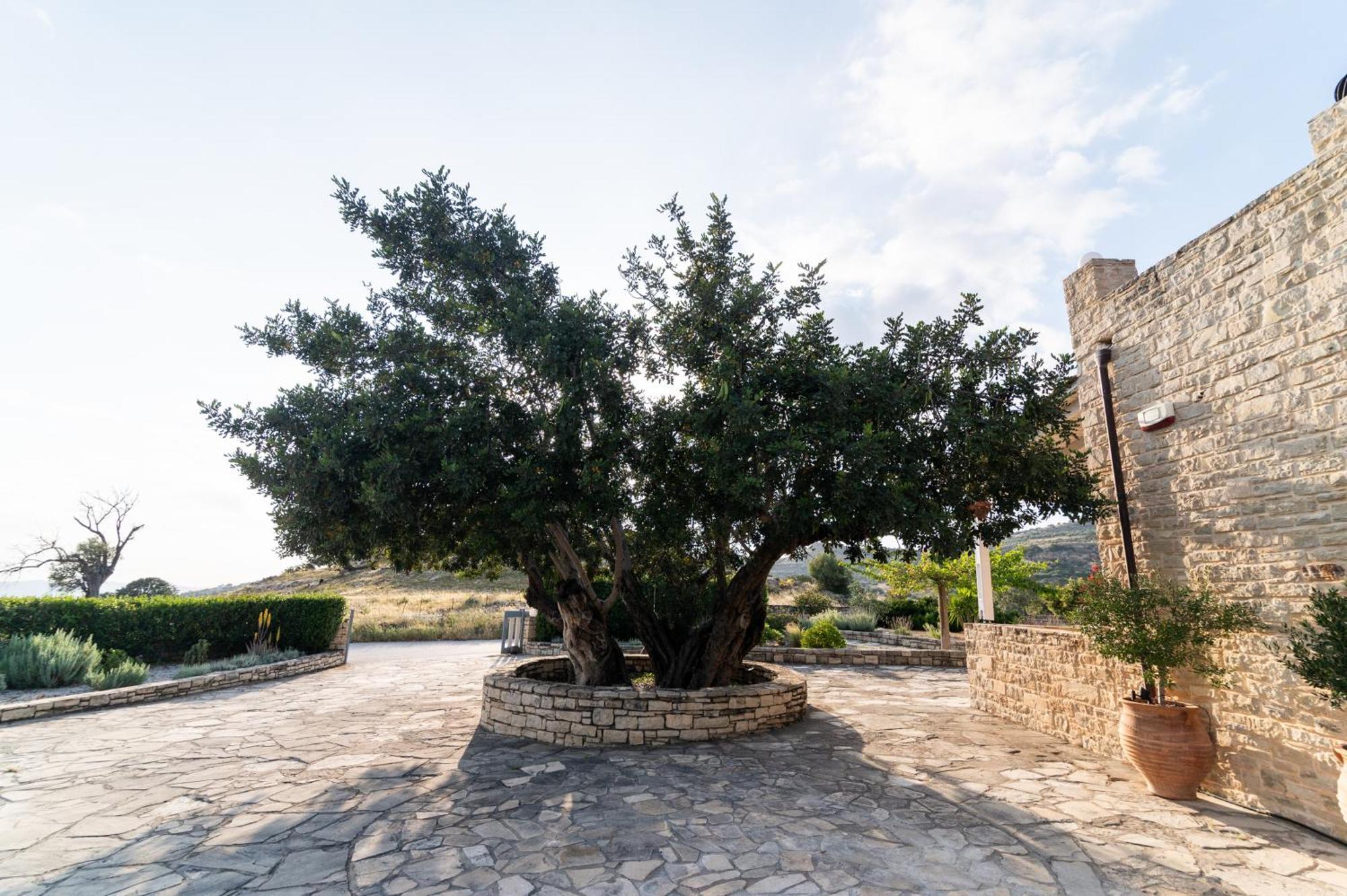 Carob Villa Moirai Exterior photo