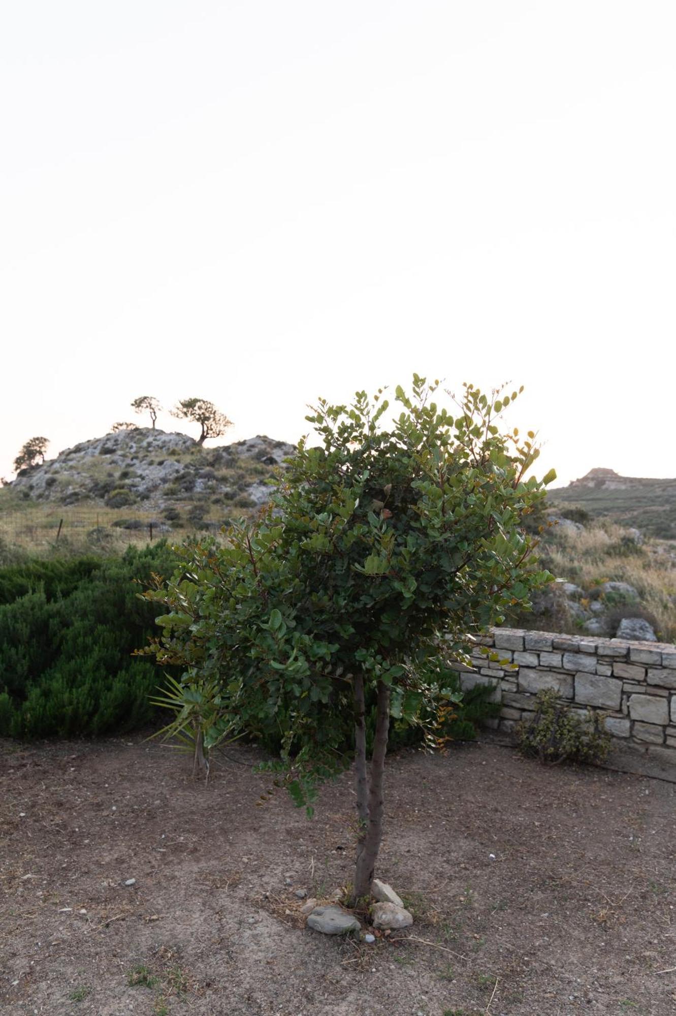 Carob Villa Moirai Exterior photo